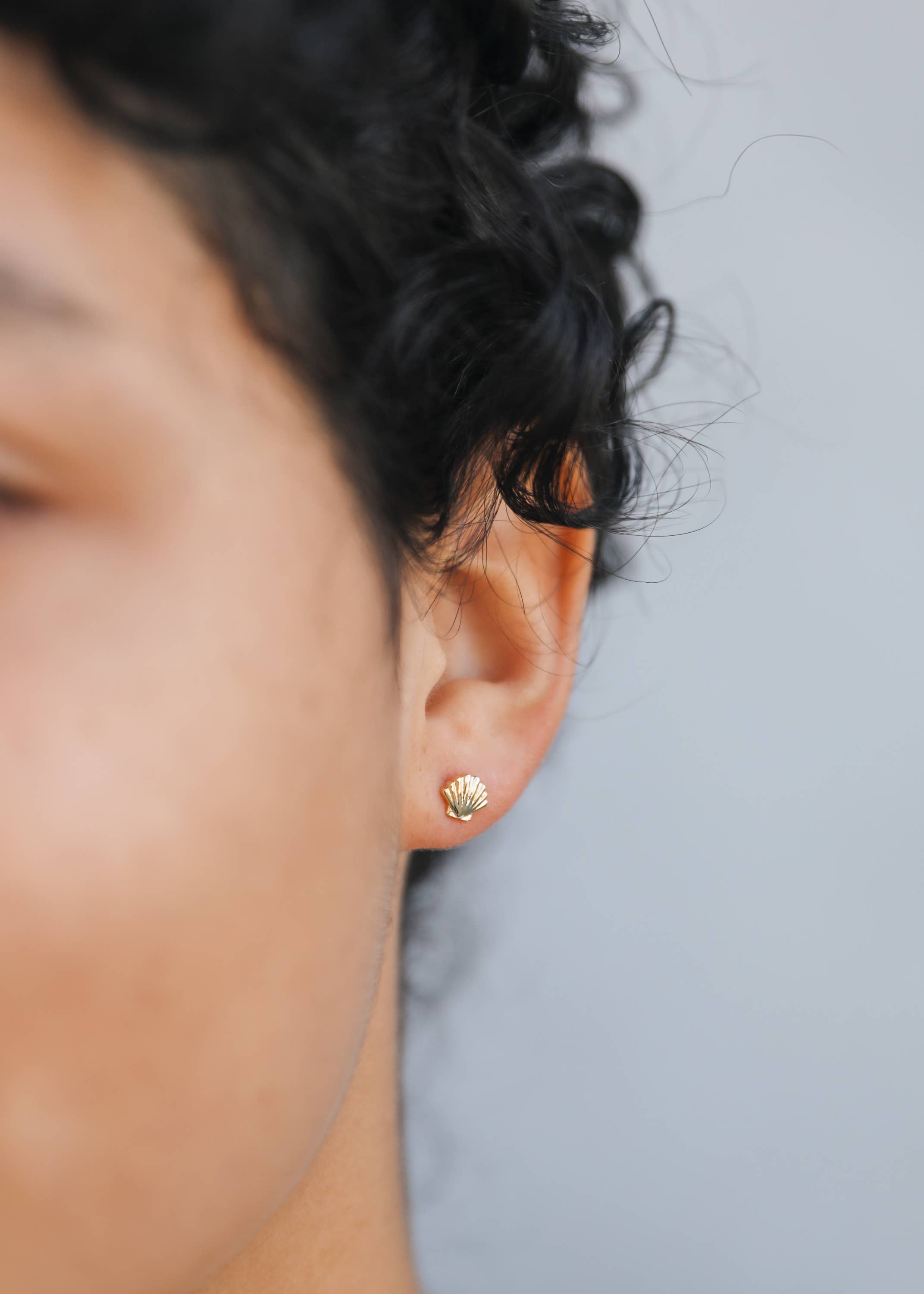 Seashell Stud Earrings