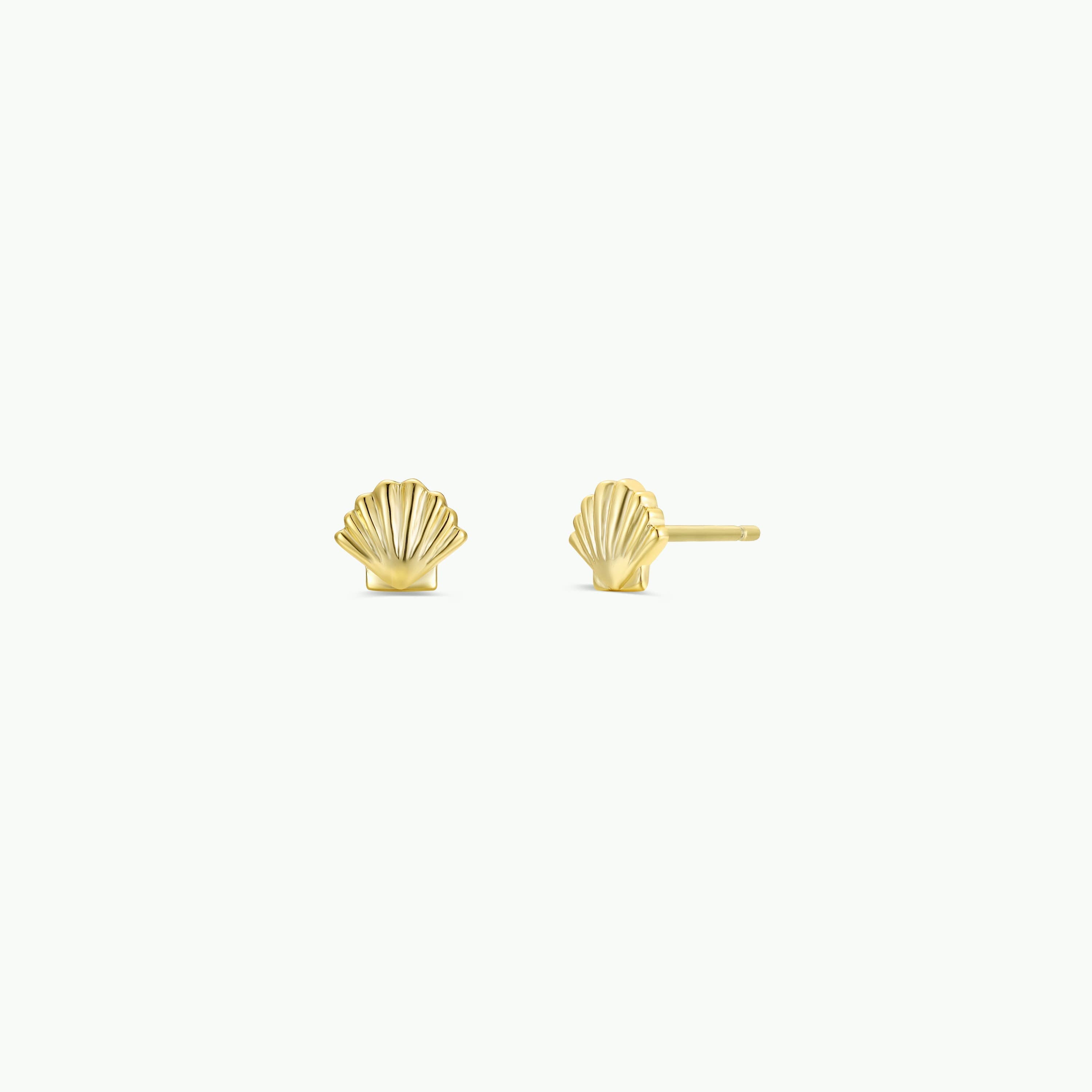 Seashell Stud Earrings