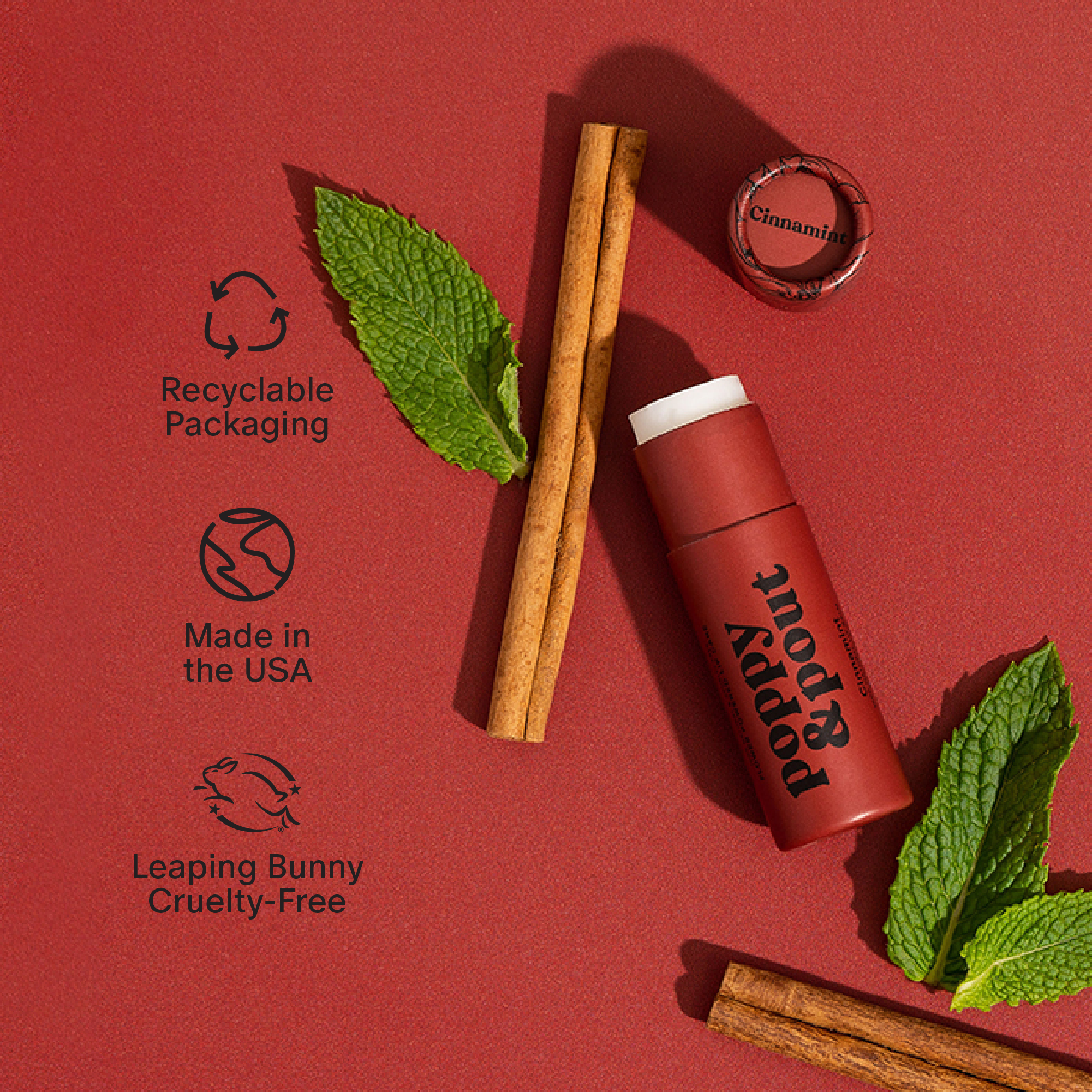 Cinnamint Lip Balm