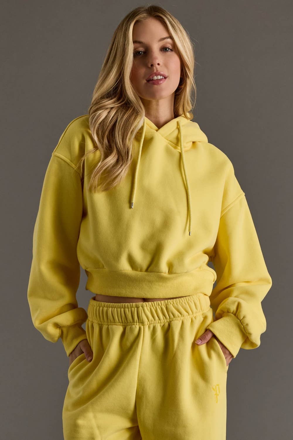 Kylie Cropped Hooded Sweatshirt