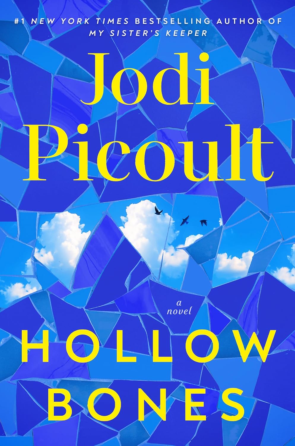 Hollow Bones by Jodi Picoult