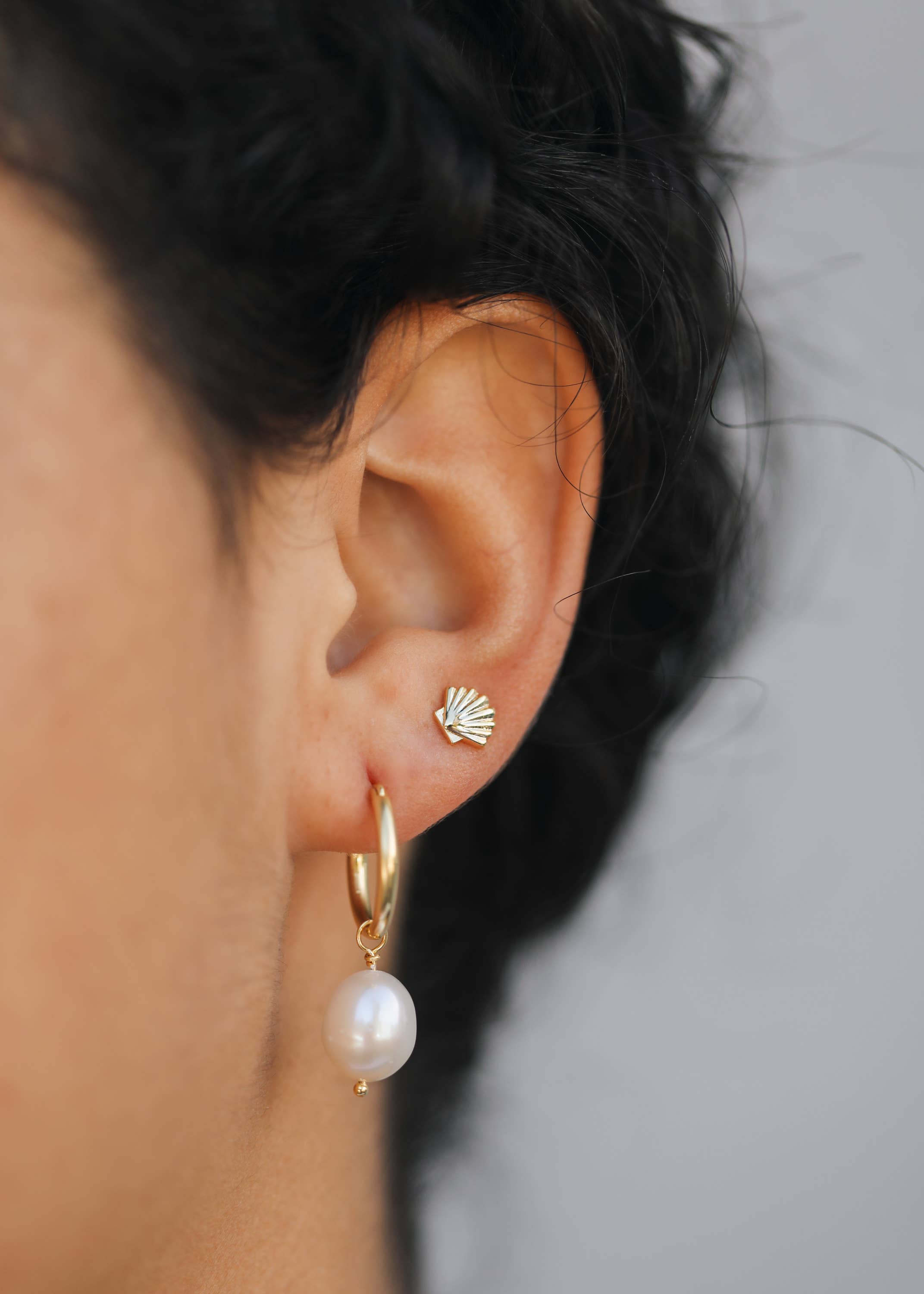 Seashell Stud Earrings