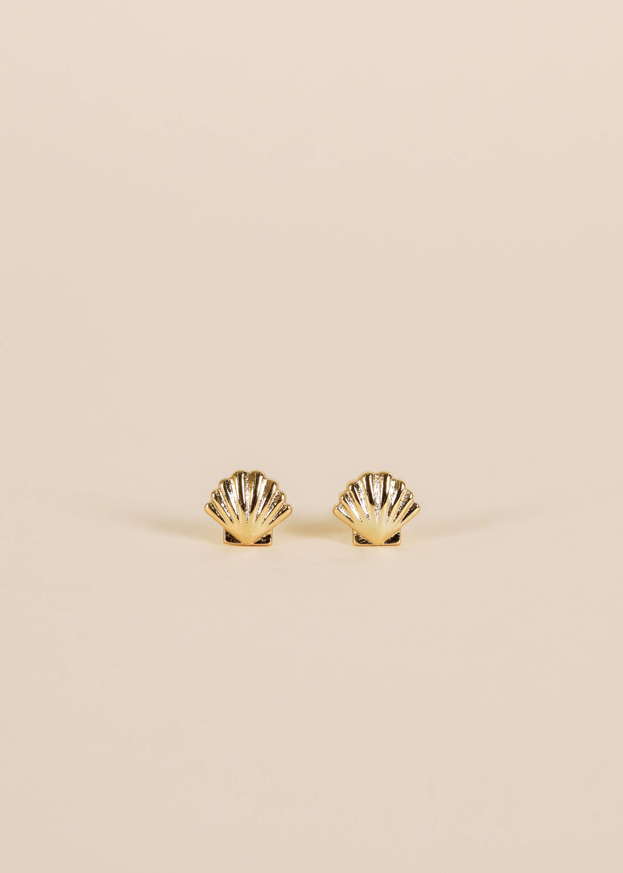 Seashell Stud Earrings