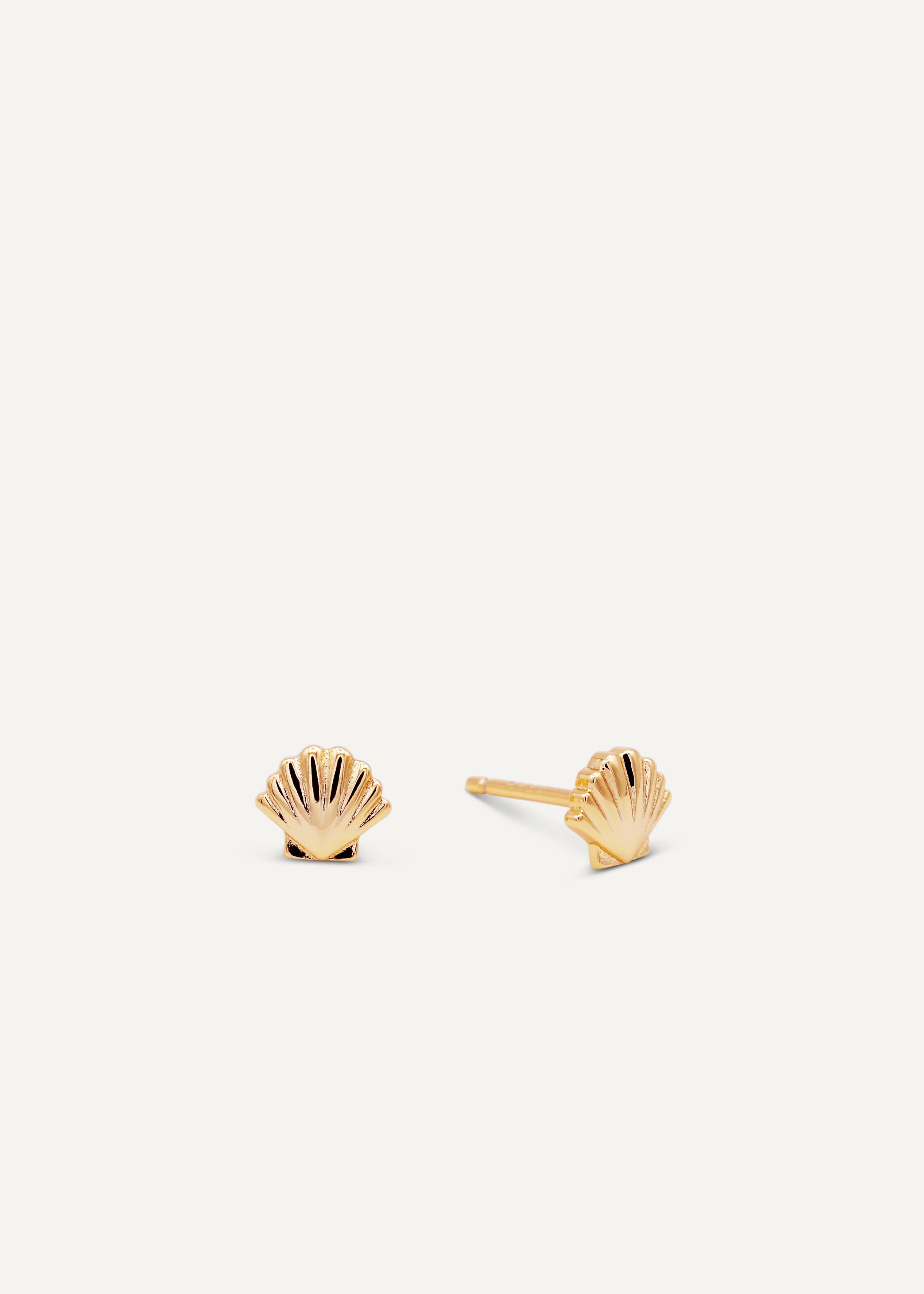 Seashell Stud Earrings