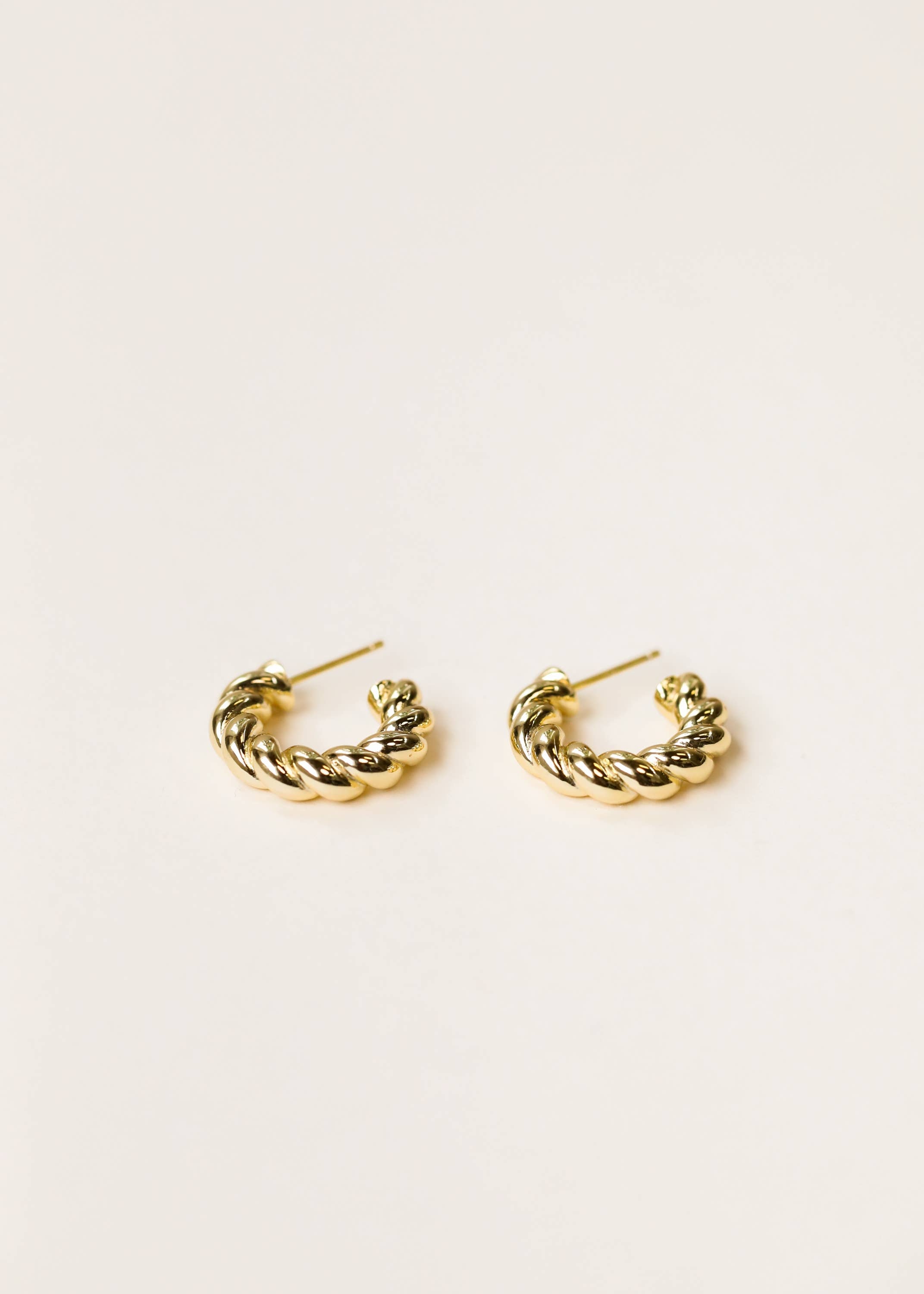 Twisted Hoop Earrings